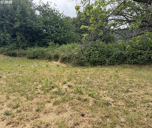 0.23 Acres of Residential Land for Sale in Myrtle Point, Oregon