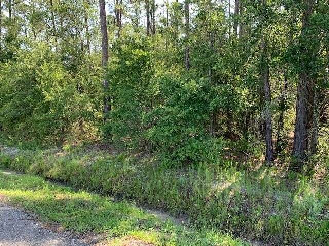 1 Acre of Residential Land for Sale in Hastings, Florida