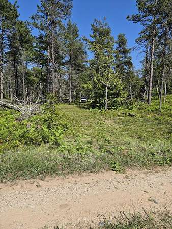 Land for Sale in Paradise, Michigan