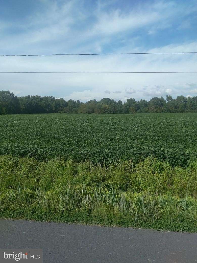 10 Acres of Land for Sale in Bloxom, Virginia