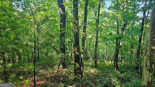 8 Acres of Residential Land for Sale in Tiger, Georgia