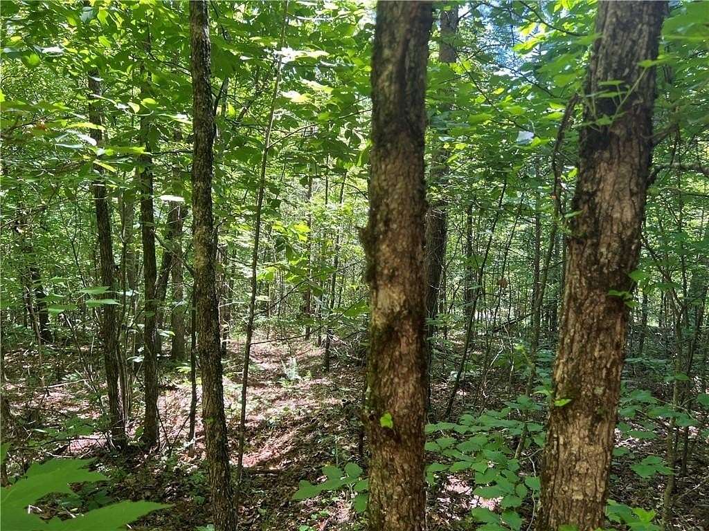 1.88 Acres of Residential Land for Sale in Ball Ground, Georgia