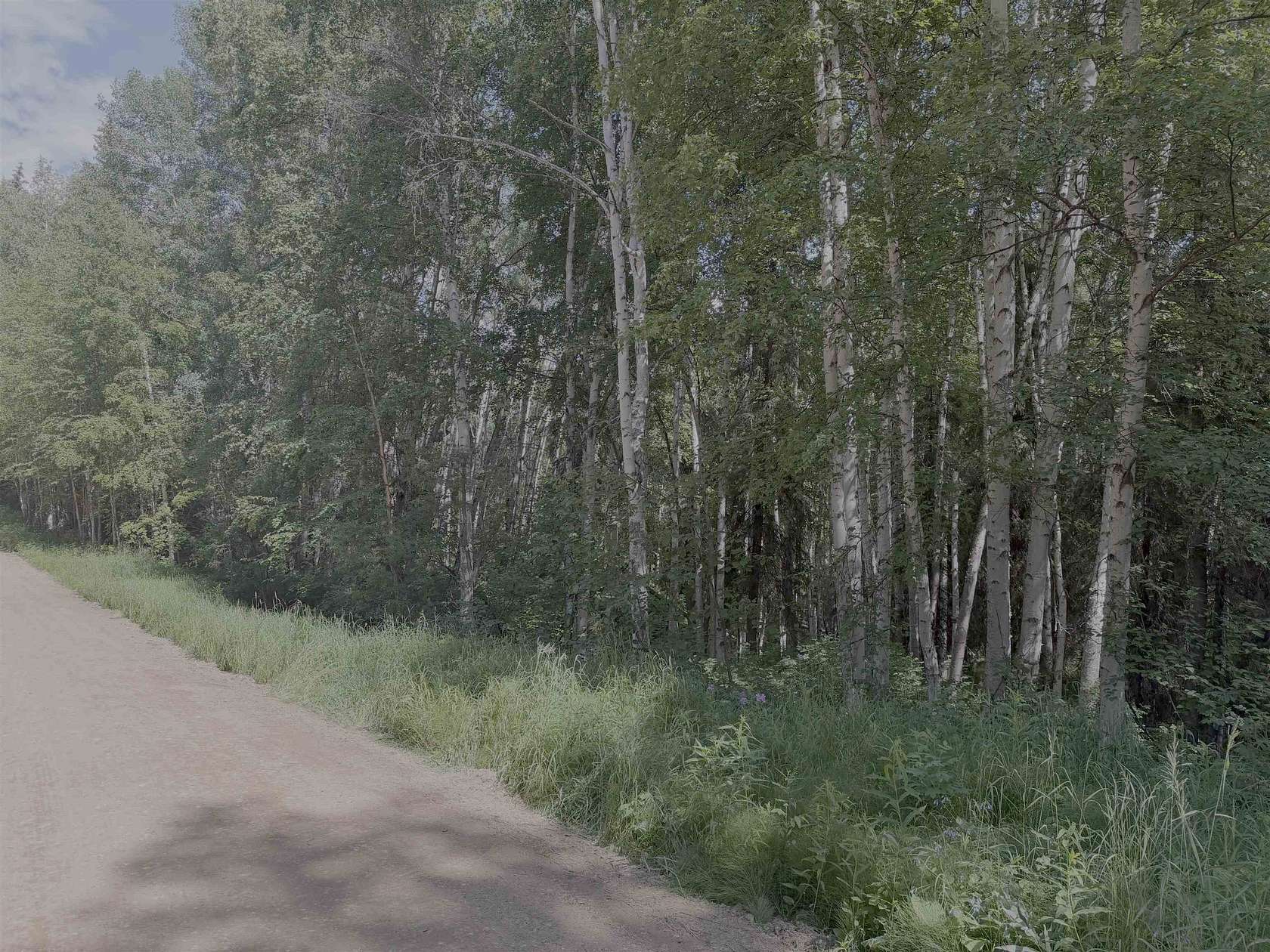 3.4 Acres of Land for Sale in Fairbanks, Alaska