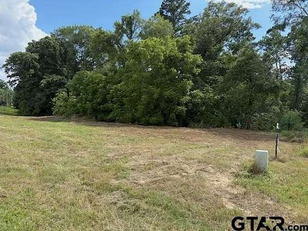 5.22 Acres of Residential Land for Sale in Diana, Texas
