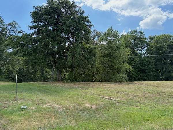1.73 Acres of Residential Land for Sale in Diana, Texas