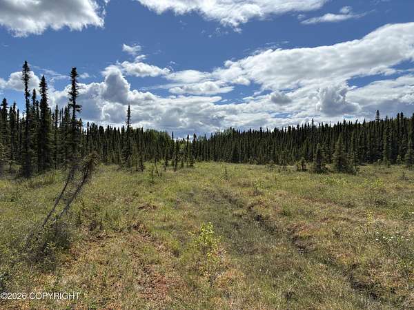 9.34 Acres of Residential Land for Sale in Wasilla, Alaska