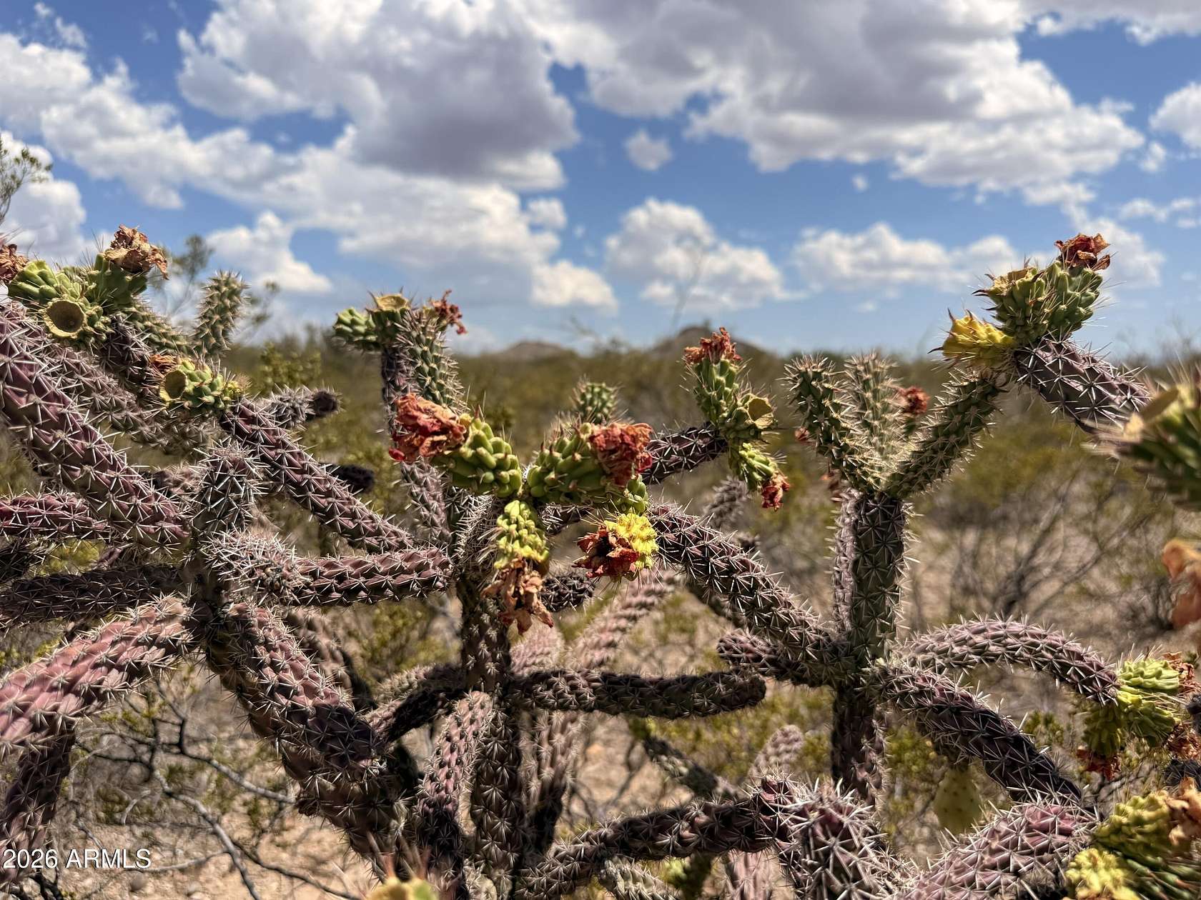 4.36 Acres of Land for Sale in Douglas, Arizona