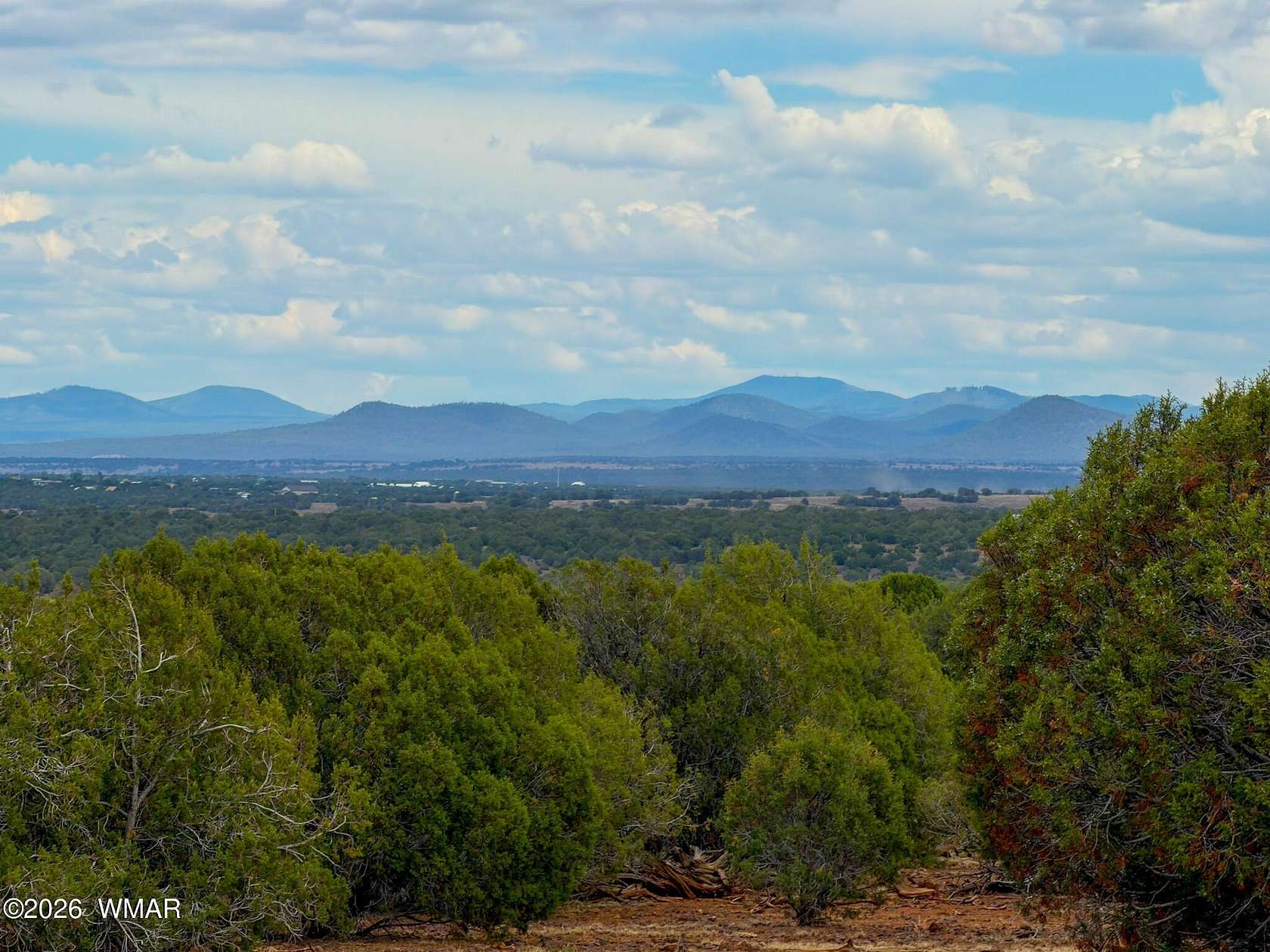 20 Acres of Agricultural & Residential Land for Sale in Show Low, Arizona