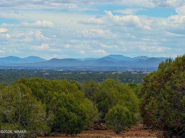 20 Acres of Agricultural & Residential Land for Sale in Show Low, Arizona