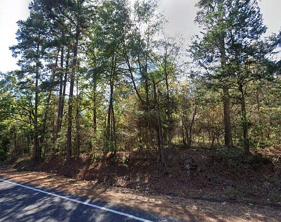 19.6 Acres of Recreational & Residential Land for Sale in Winnsboro, Texas