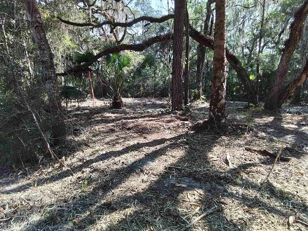 0.5 Acres of Land for Sale in Crawfordville, Florida