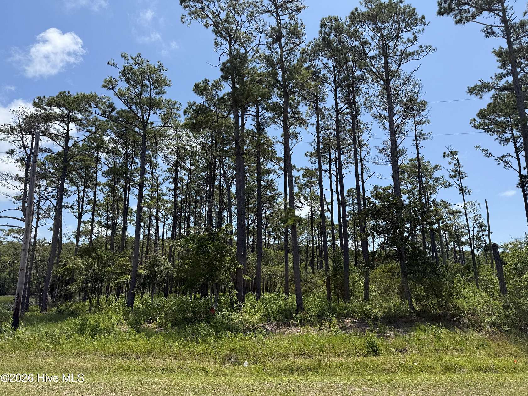 1.55 Acres of Residential Land for Sale in Beaufort, North Carolina