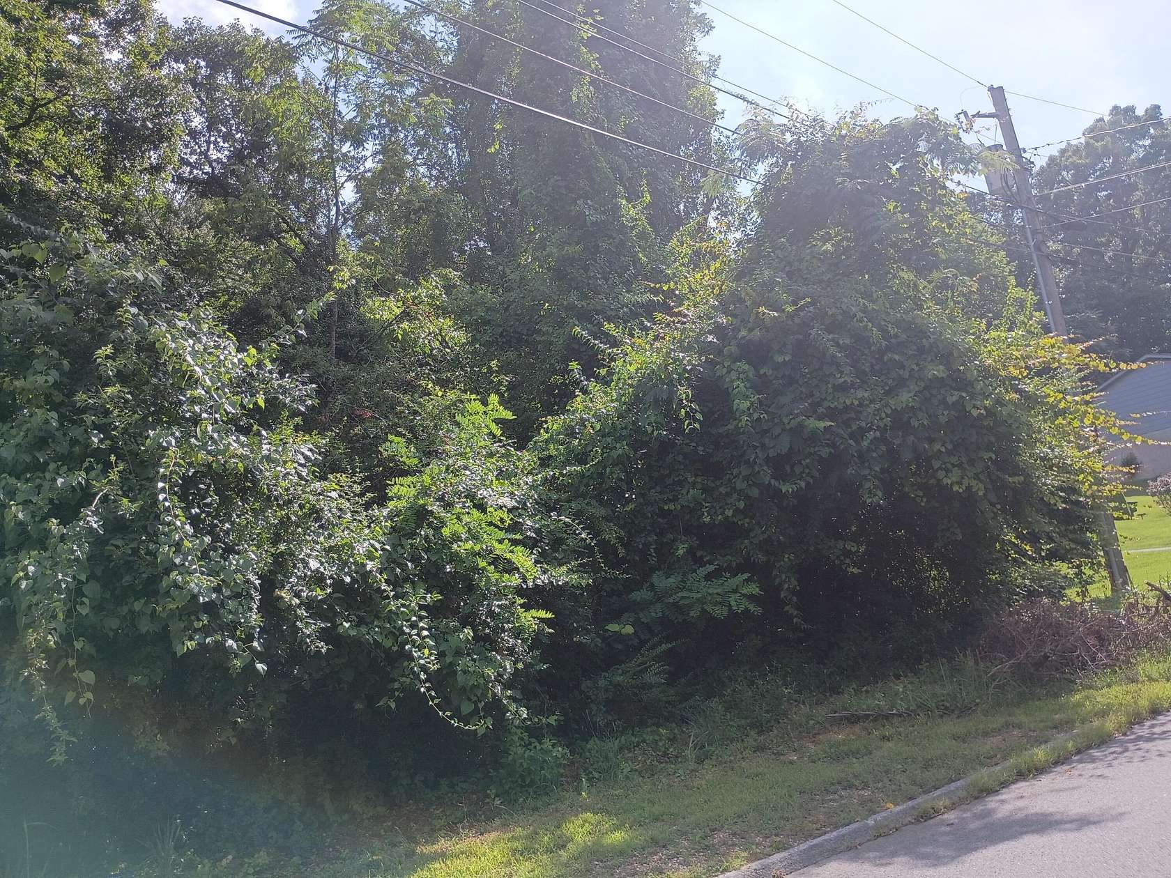 0.81 Acres of Residential Land for Sale in Chattanooga, Tennessee