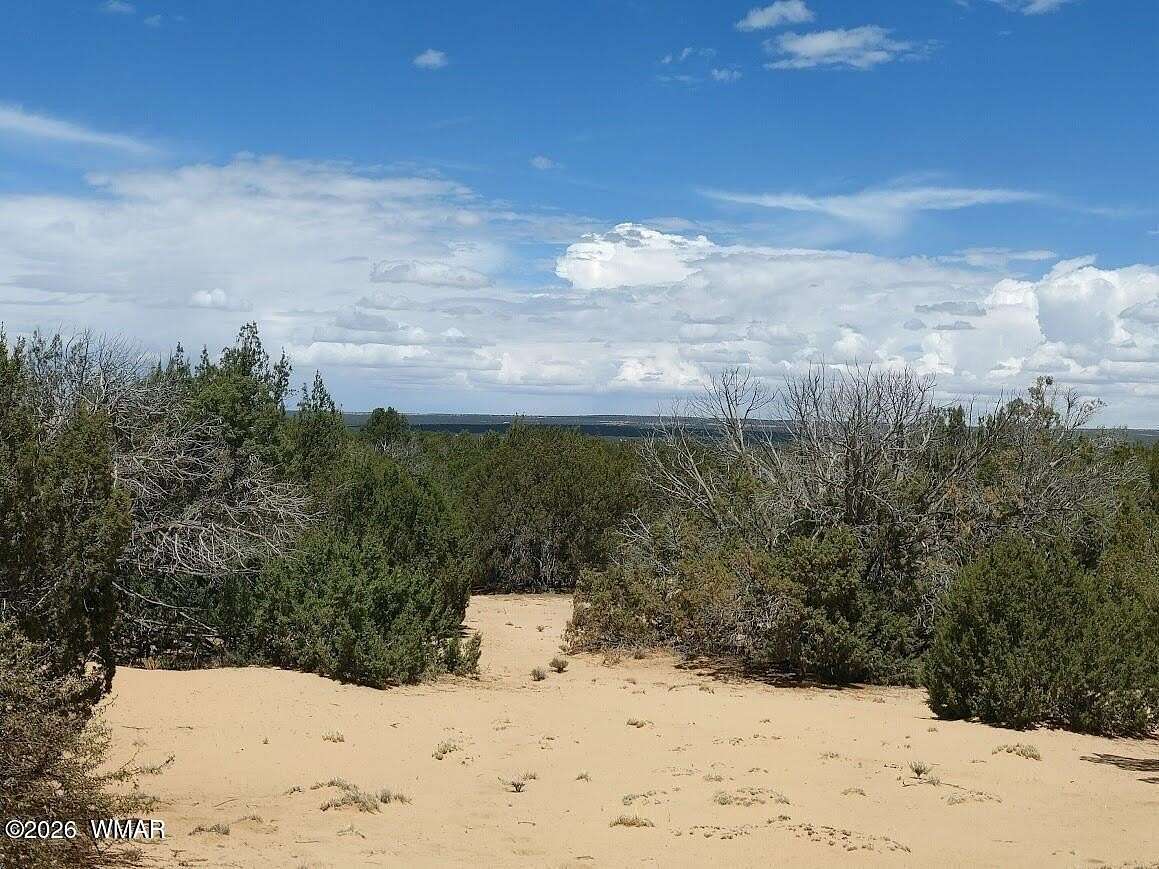 40 Acres of Recreational & Residential Land for Sale in St. Johns, Arizona