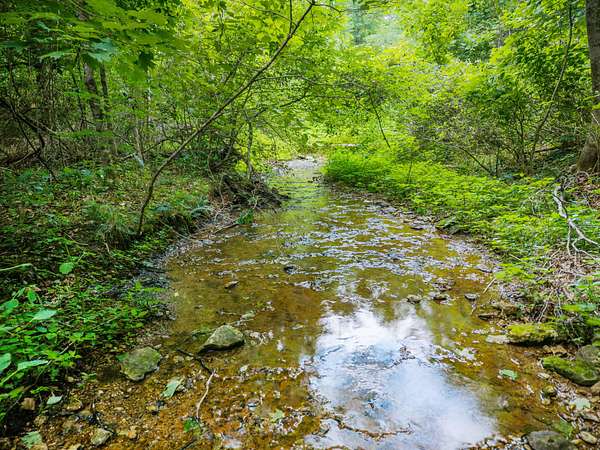 39.5 Acres of Land for Sale in Westmoreland, Tennessee