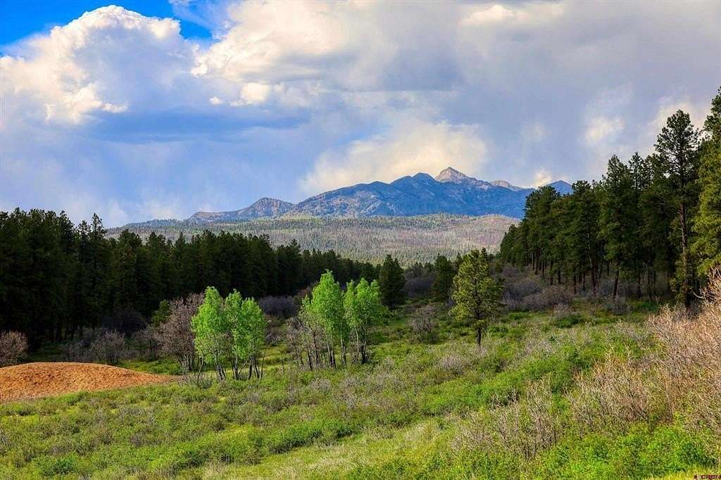 35.7 Acres of Recreational & Residential Land for Sale in Pagosa Springs, Colorado