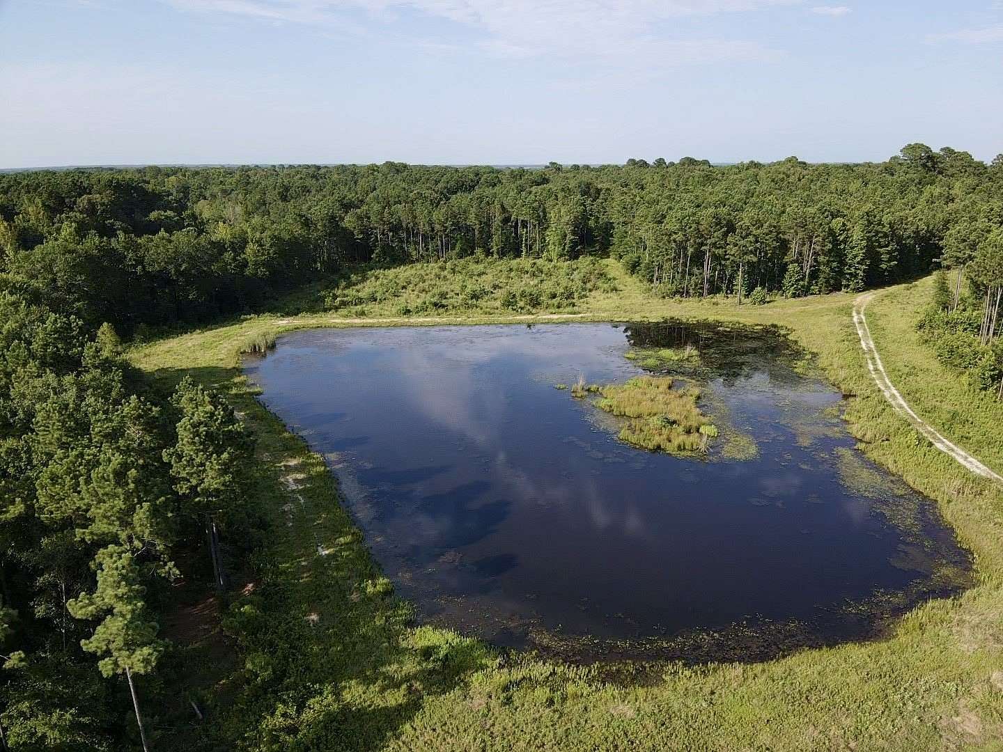43 Acres of Recreational & Residential Land for Sale in Clarksville, Texas