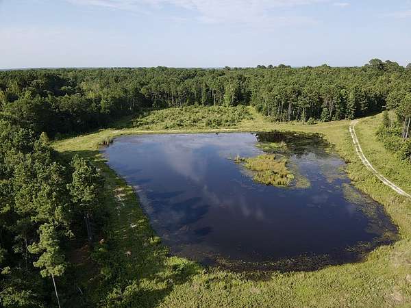 43 Acres of Recreational & Residential Land for Sale in Clarksville, Texas