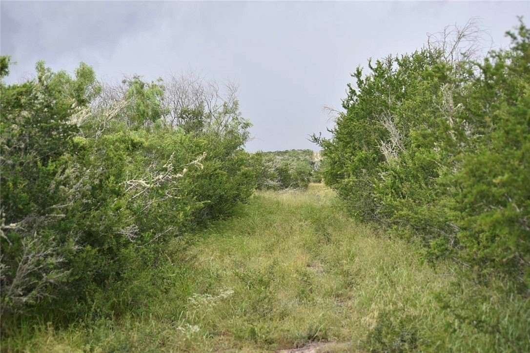 10.4 Acres of Recreational Land for Sale in George West, Texas