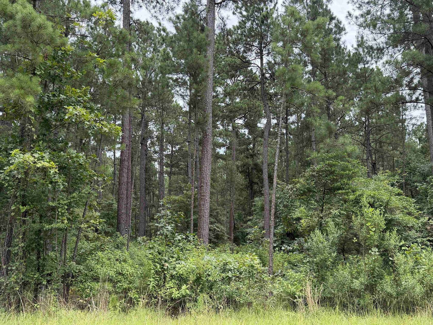 10.1 Acres of Land for Sale in Marshall, Texas