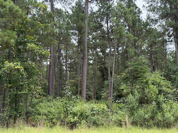 10.1 Acres of Land for Sale in Marshall, Texas