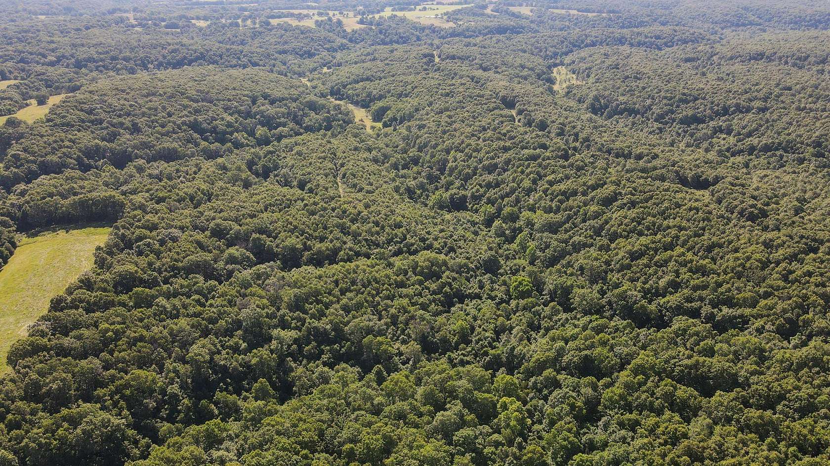 49.6 Acres of Recreational Land for Sale in Aurora, Missouri