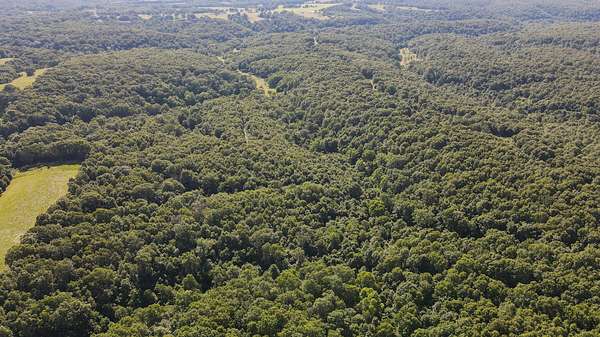 49.6 Acres of Recreational Land for Sale in Aurora, Missouri