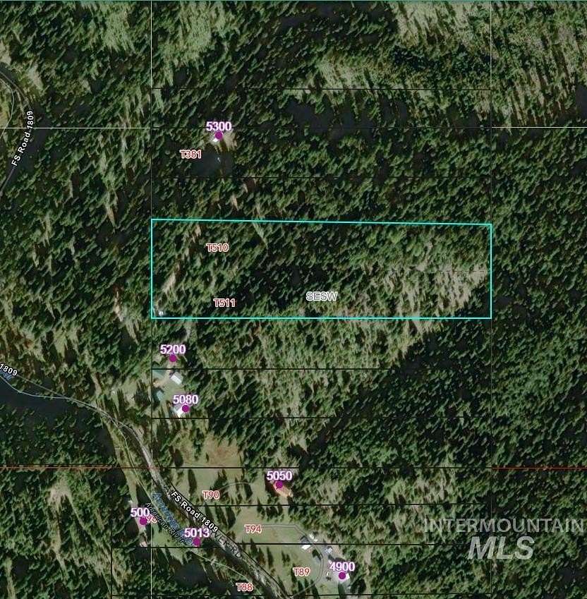 10 Acres of Land for Sale in Elk City, Idaho