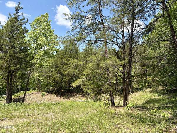 0.55 Acres of Residential Land for Sale in Sevierville, Tennessee
