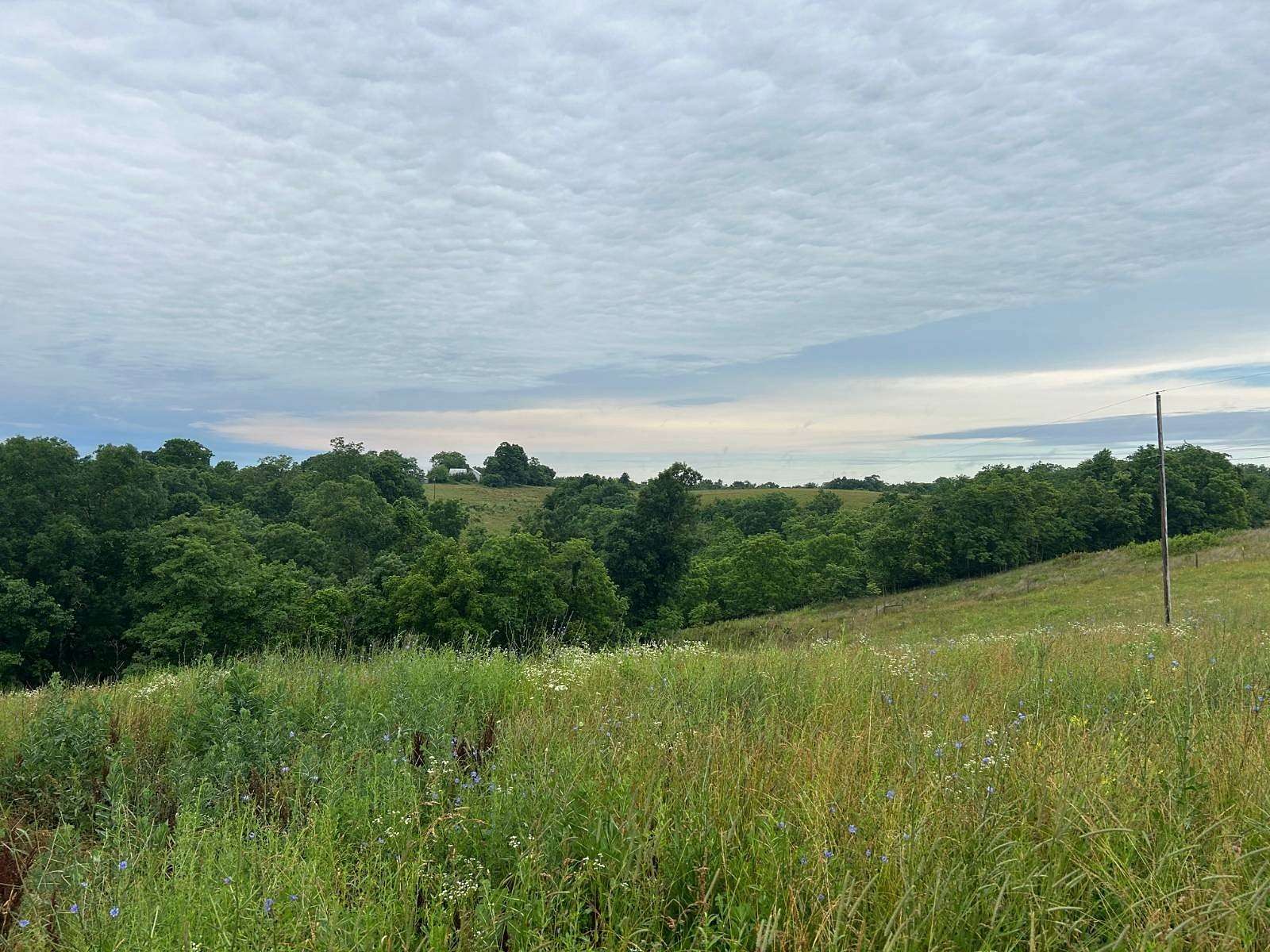19 Acres of Recreational Land for Sale in Mays Lick, Kentucky