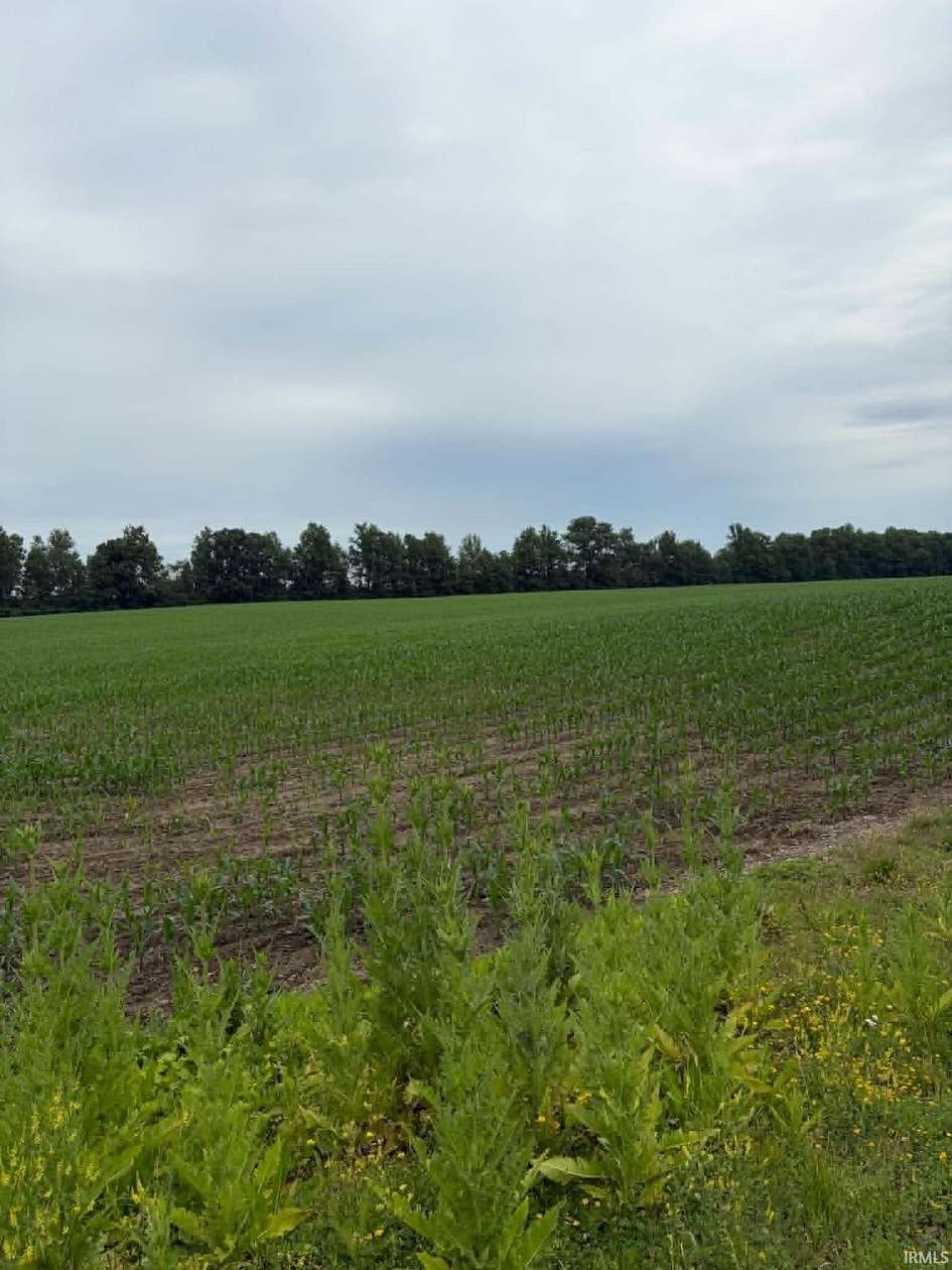 47.9 Acres of Land for Sale in Fort Wayne, Indiana