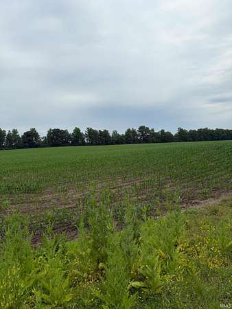 47.9 Acres of Land for Sale in Fort Wayne, Indiana