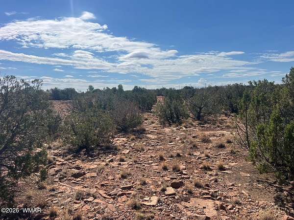 40 Acres of Land for Sale in Snowflake, Arizona