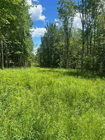 44.7 Acres of Commercial Land for Sale in Hunter, New York
