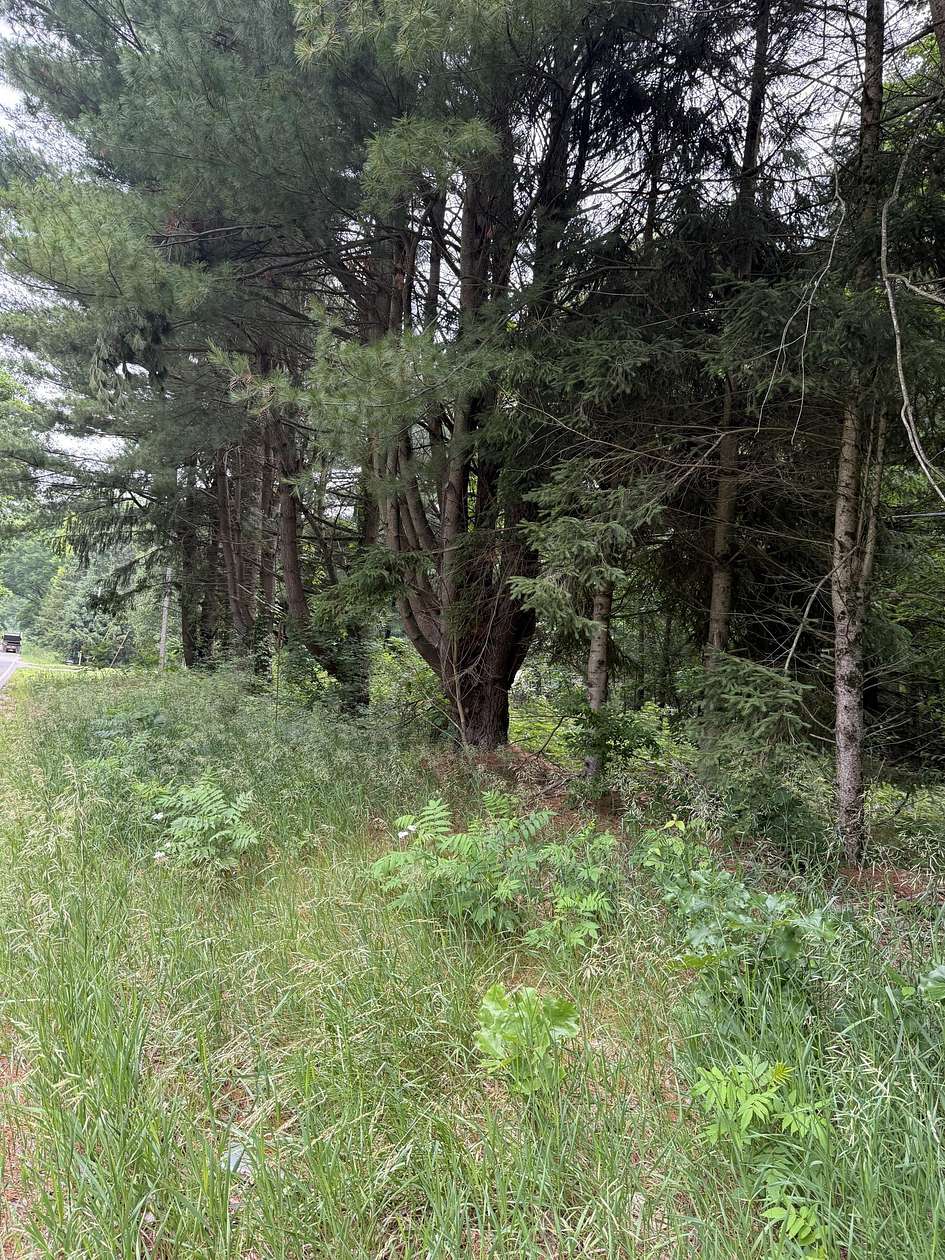 5.1 Acres of Residential Land for Sale in Pierson, Michigan