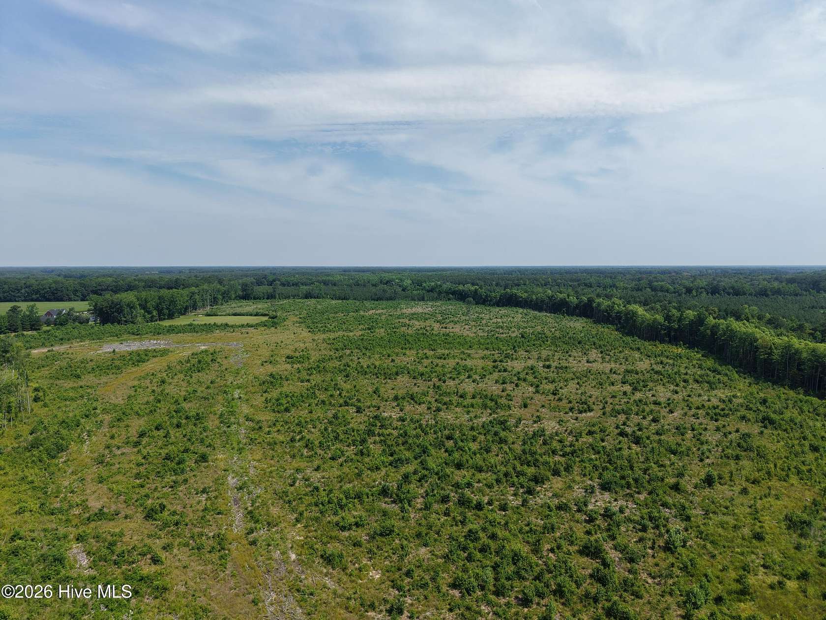 99.6 Acres of Recreational & Residential Land for Sale in Corapeake, North Carolina