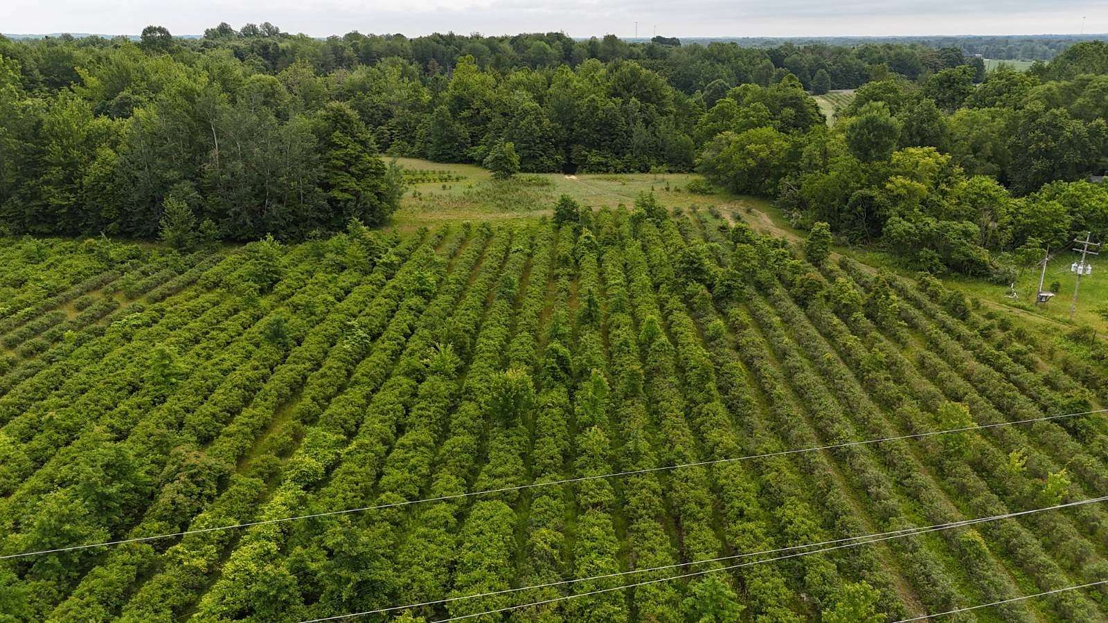 35.7 Acres of Recreational Land for Sale in Grand Junction, Michigan