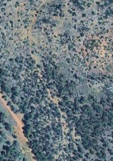 20 Acres of Land for Sale in Estancia, New Mexico