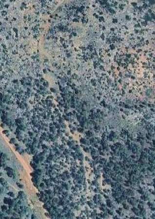 20 Acres of Land for Sale in Estancia, New Mexico