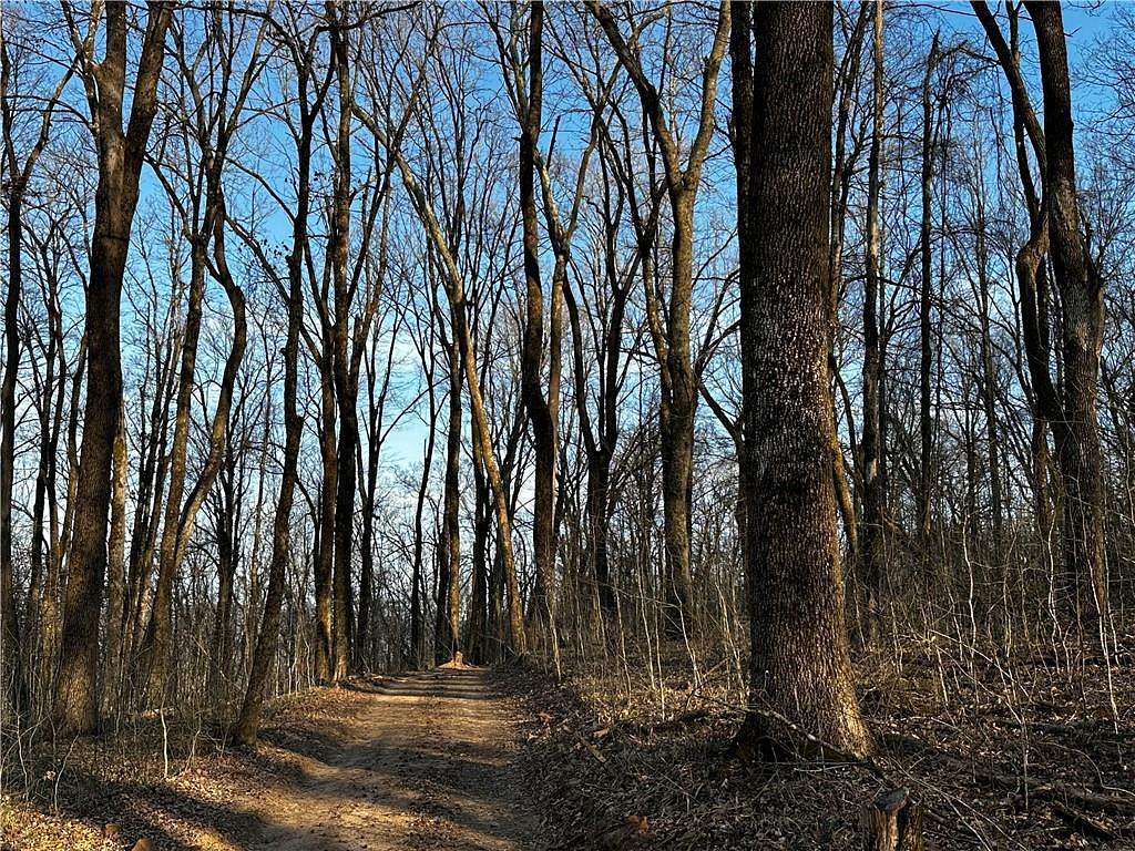 52.8 Acres of Land for Sale in Brashears, Arkansas