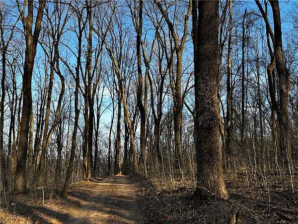 52.8 Acres of Land for Sale in Brashears, Arkansas