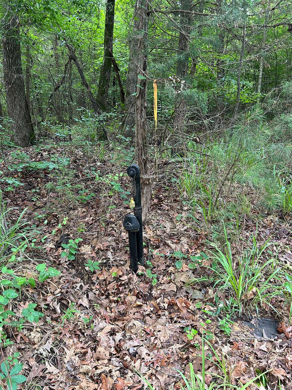 21.8 Acres of Land for Sale in Douglassville, Texas