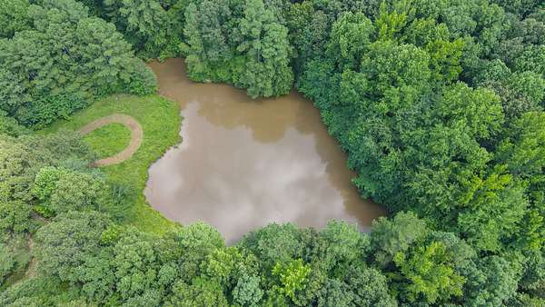 147 Acres of Land for Sale in Dukedom, Tennessee