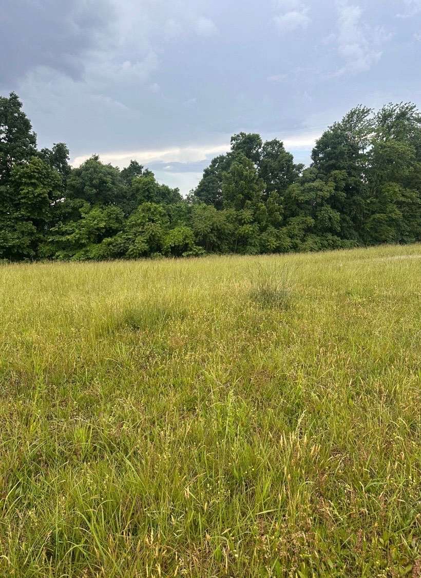 2.6 Acres of Land for Sale in Burkesville, Kentucky