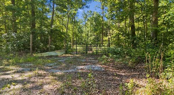 5.1 Acres of Residential Land for Sale in Altamont, Tennessee