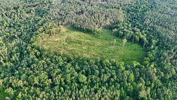 156 Acres of Recreational & Residential Land for Sale in Bruce, Mississippi