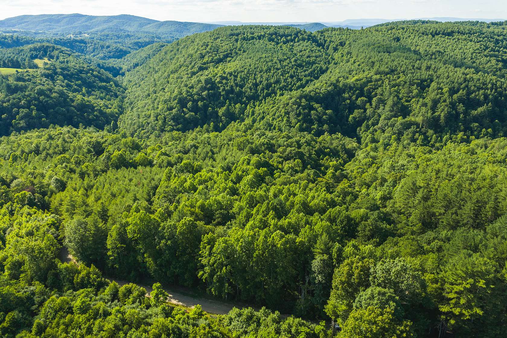 216 Acres of Land for Auction in Willis, Virginia