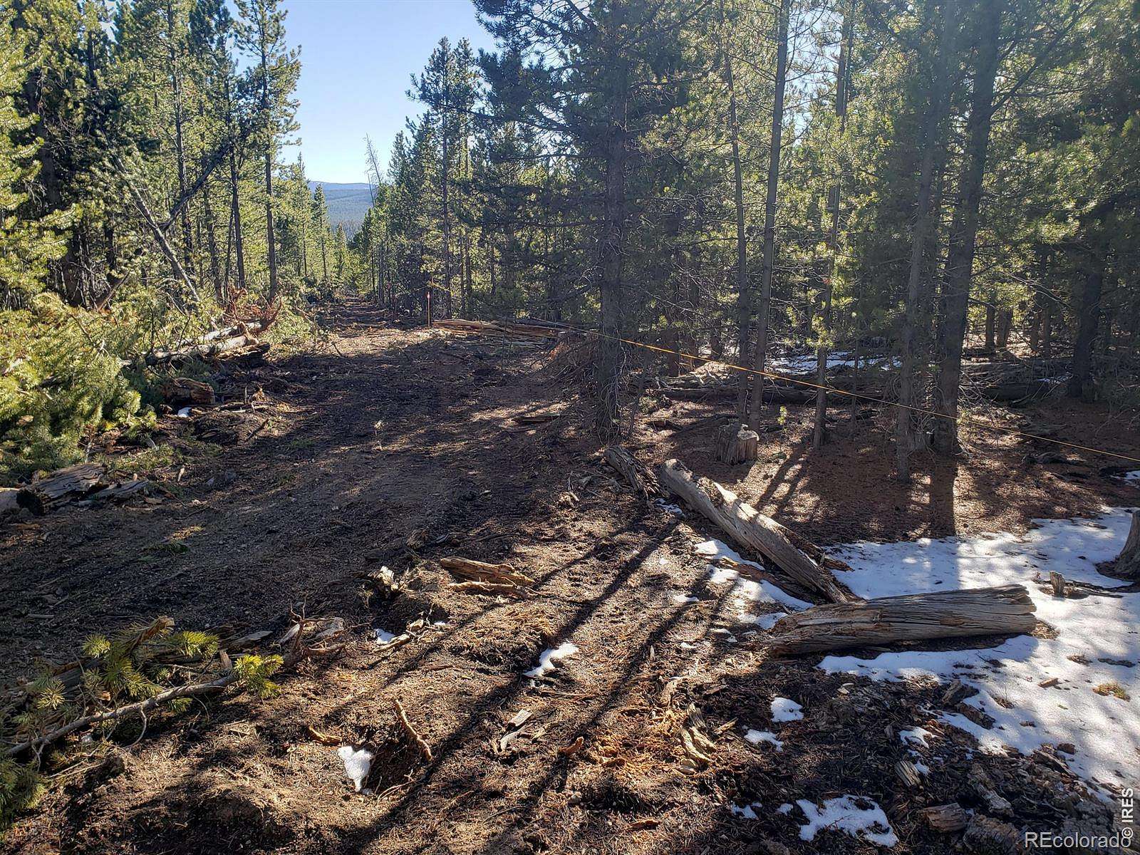 43 Acres of Land for Sale in Red Feather Lakes, Colorado