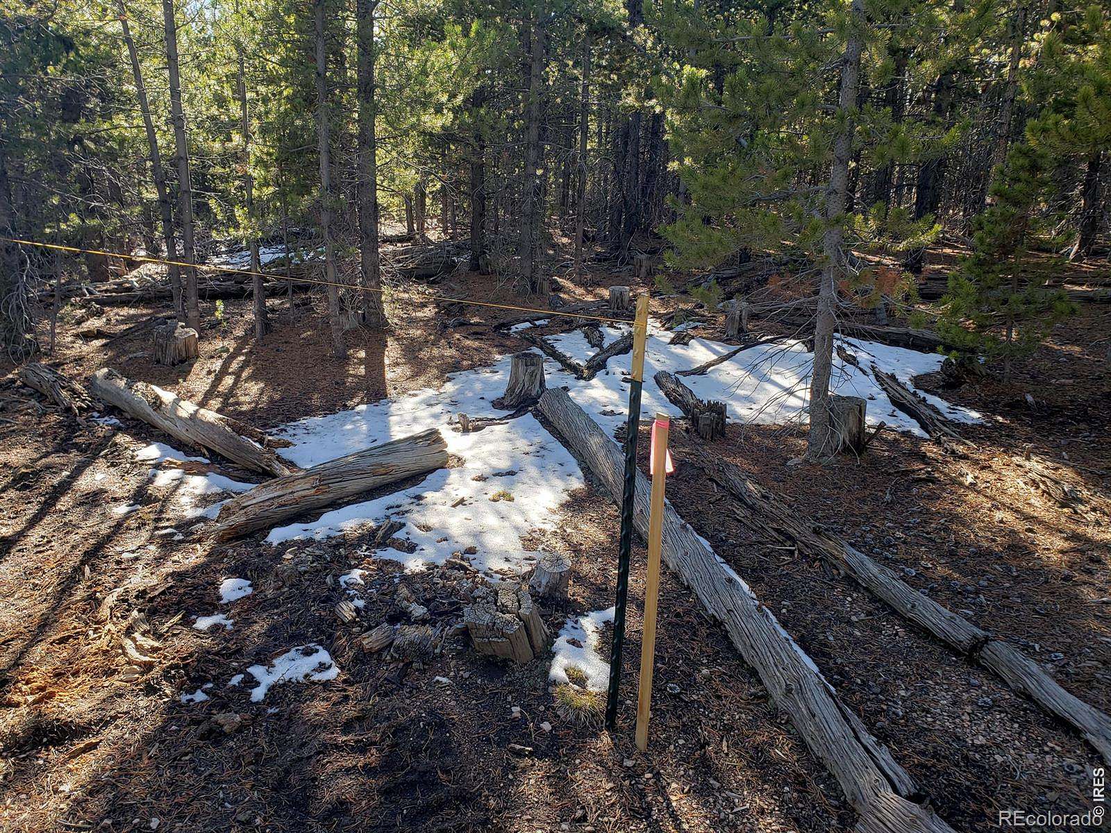 43 Acres of Land for Sale in Red Feather Lakes, Colorado