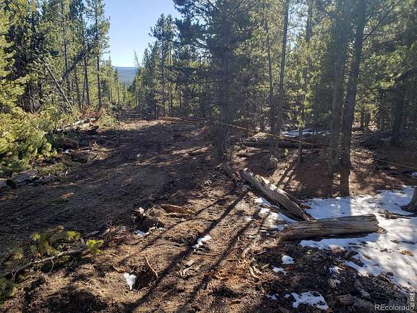 43 Acres of Land for Sale in Red Feather Lakes, Colorado